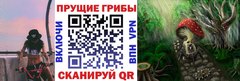 МЕГА вход  Сертолово  Галлюциногенные грибы Magic Shrooms 