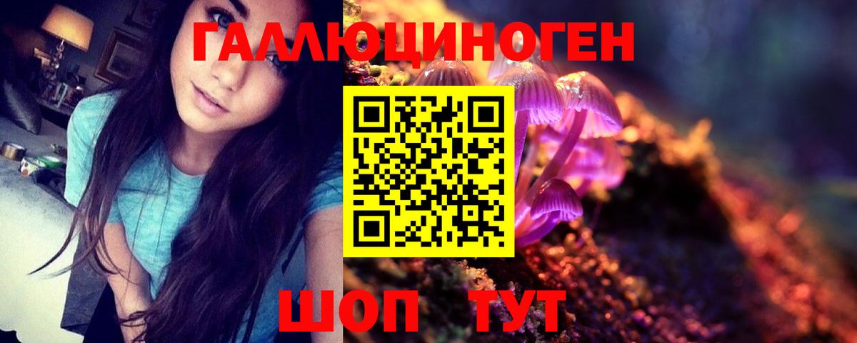 Сертолово  Псилоцибиновые грибы прущие грибы  Вход с VPN 